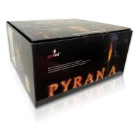 Pyrania 144-Schuss