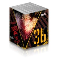 Fighter Black 36-Schuss