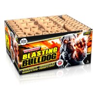Blasting Bulldog 82Sch