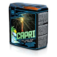 Capri 13-Schuss