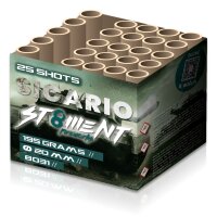 Sicario 25-Schuss