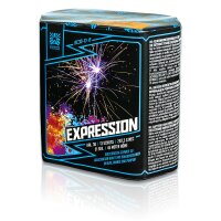 Expression 13-Schuss