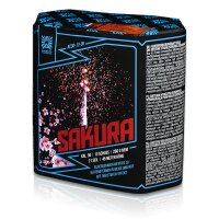 Sakura 13-Schuss