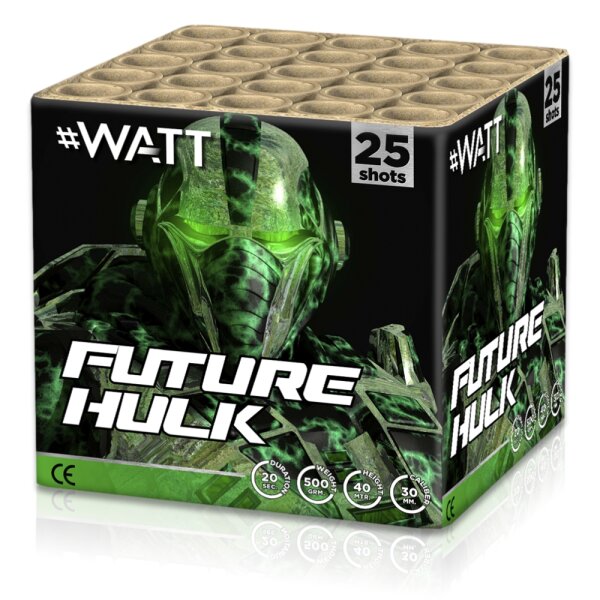 Future Hulk 25-Schuss