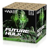 Future Hulk 25-Schuss